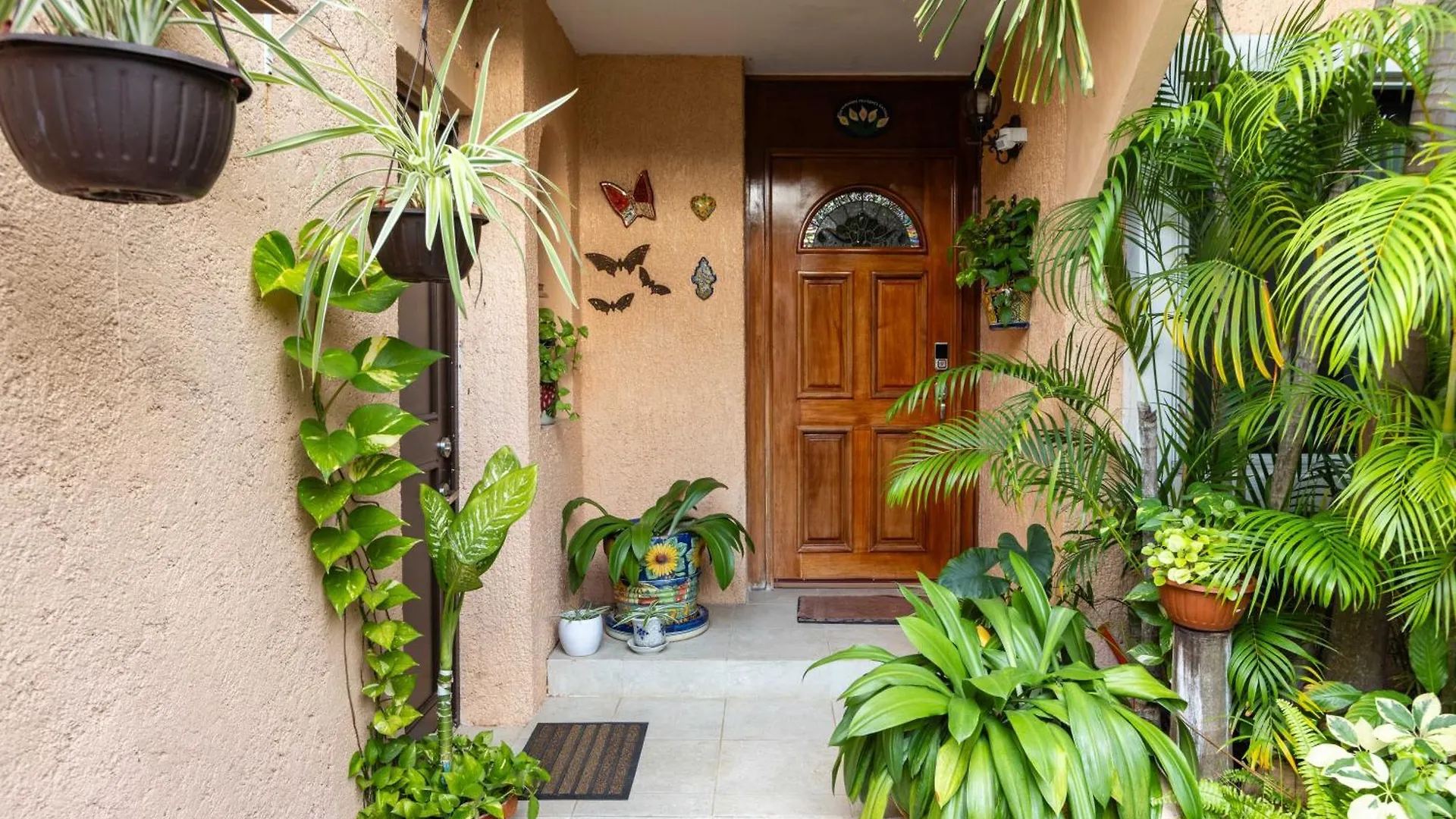Magnifica Villa Palmeras Pok Ta Pok Zona Hotelera Cancun Mexico
