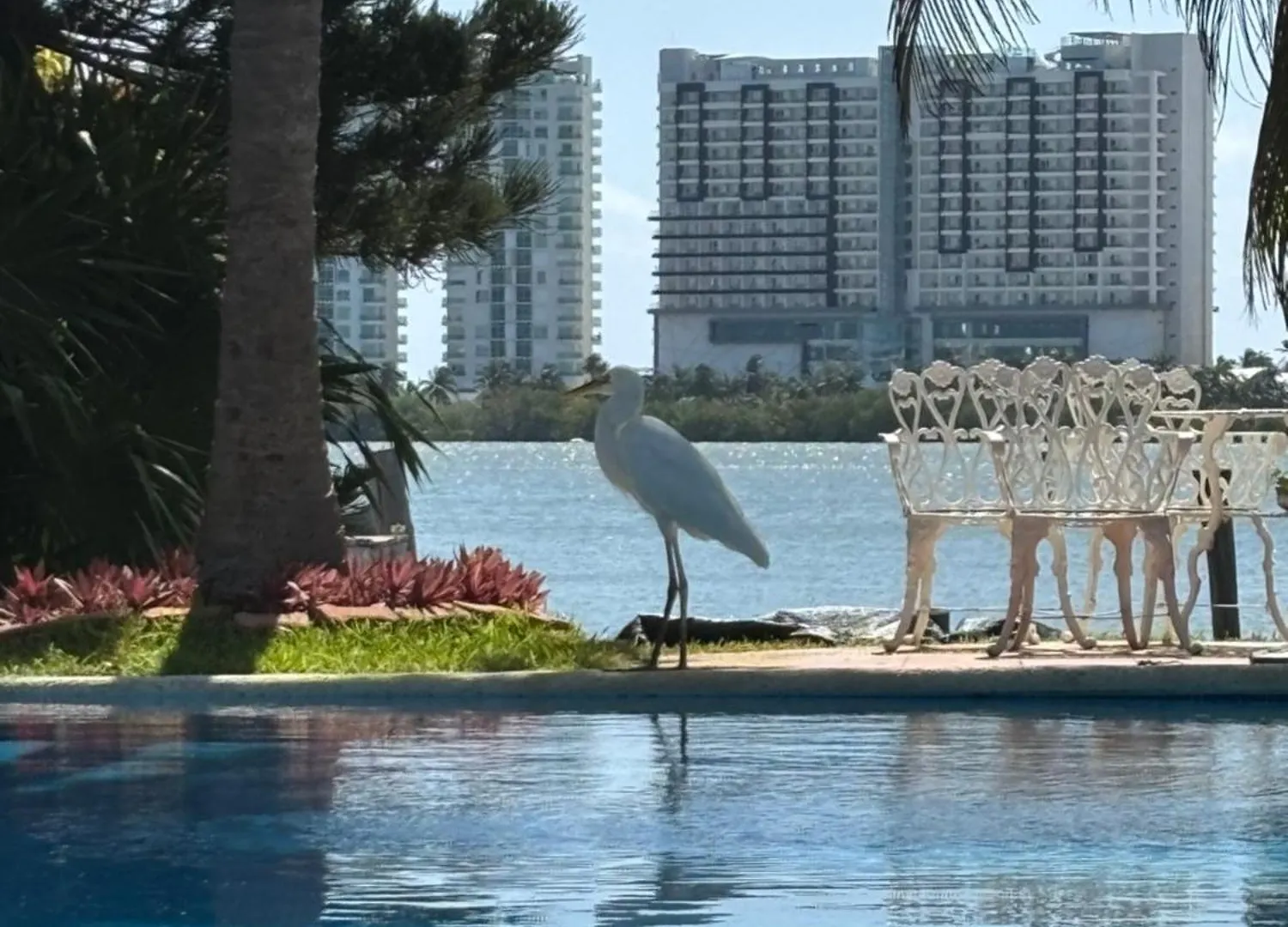 Magnifica Villa Palmeras Luxurious 4 Bedroom 6 Bds 4 Ba Private Pool Lagoon Front Super Fast Wifi Cancún México